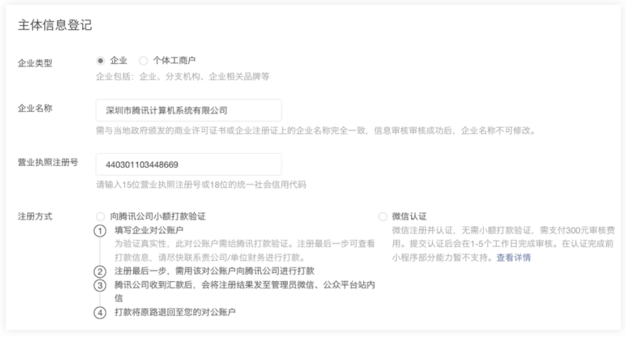 填写企业主体信息并选择验证方式